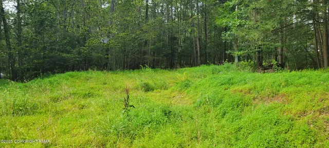 a view of backyard with green space