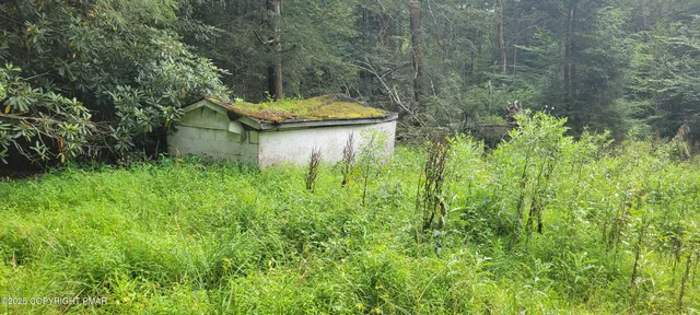 a view of a backyard of the house
