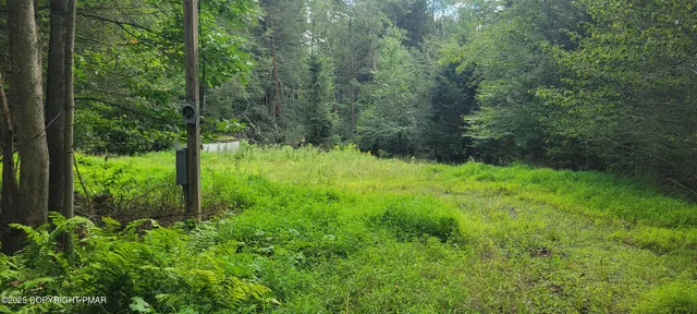 a view of backyard with green space