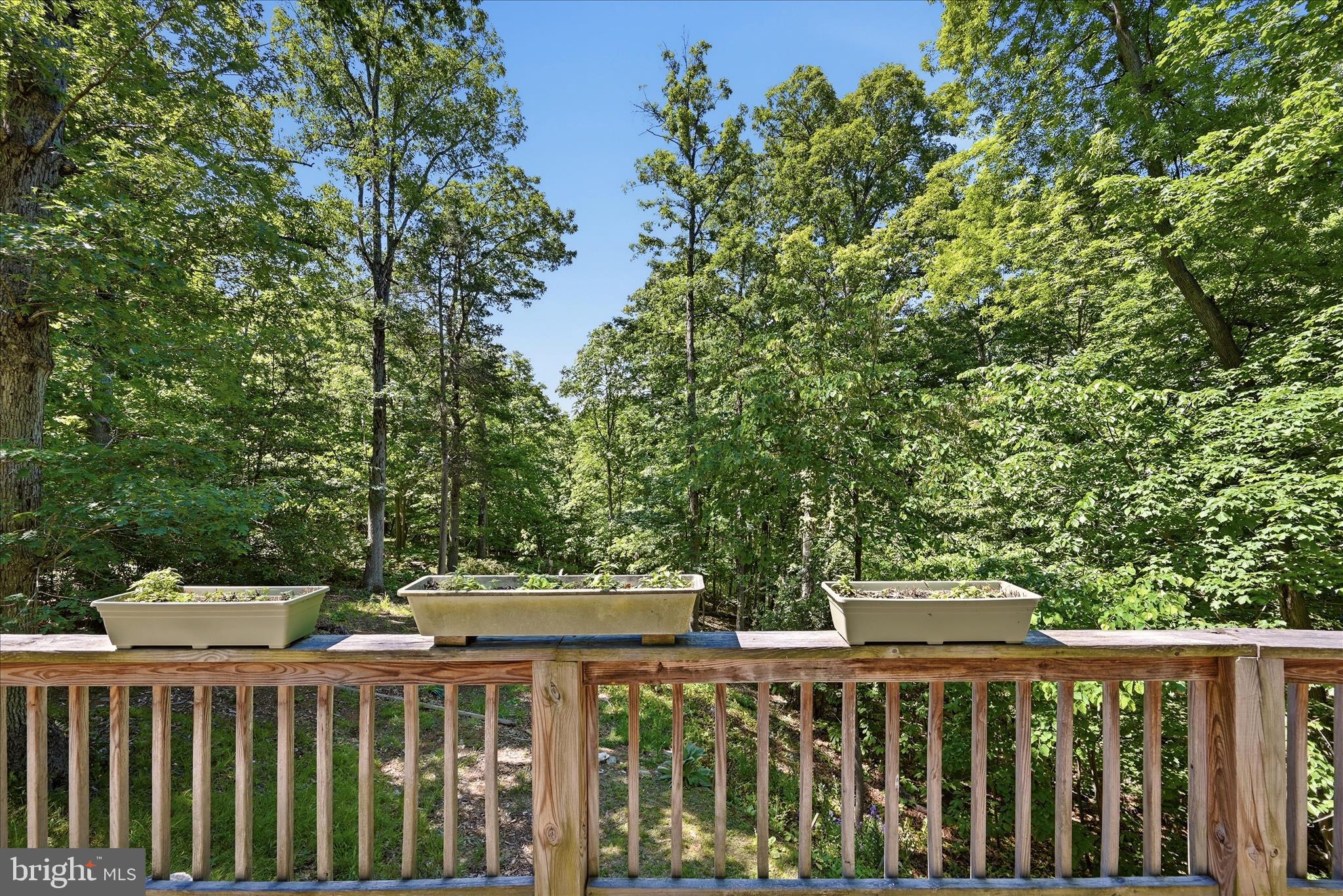 198 Spruce Road Front Royal, VA 22630 - Photo 44 of 59 a view of a wooden fence and trees