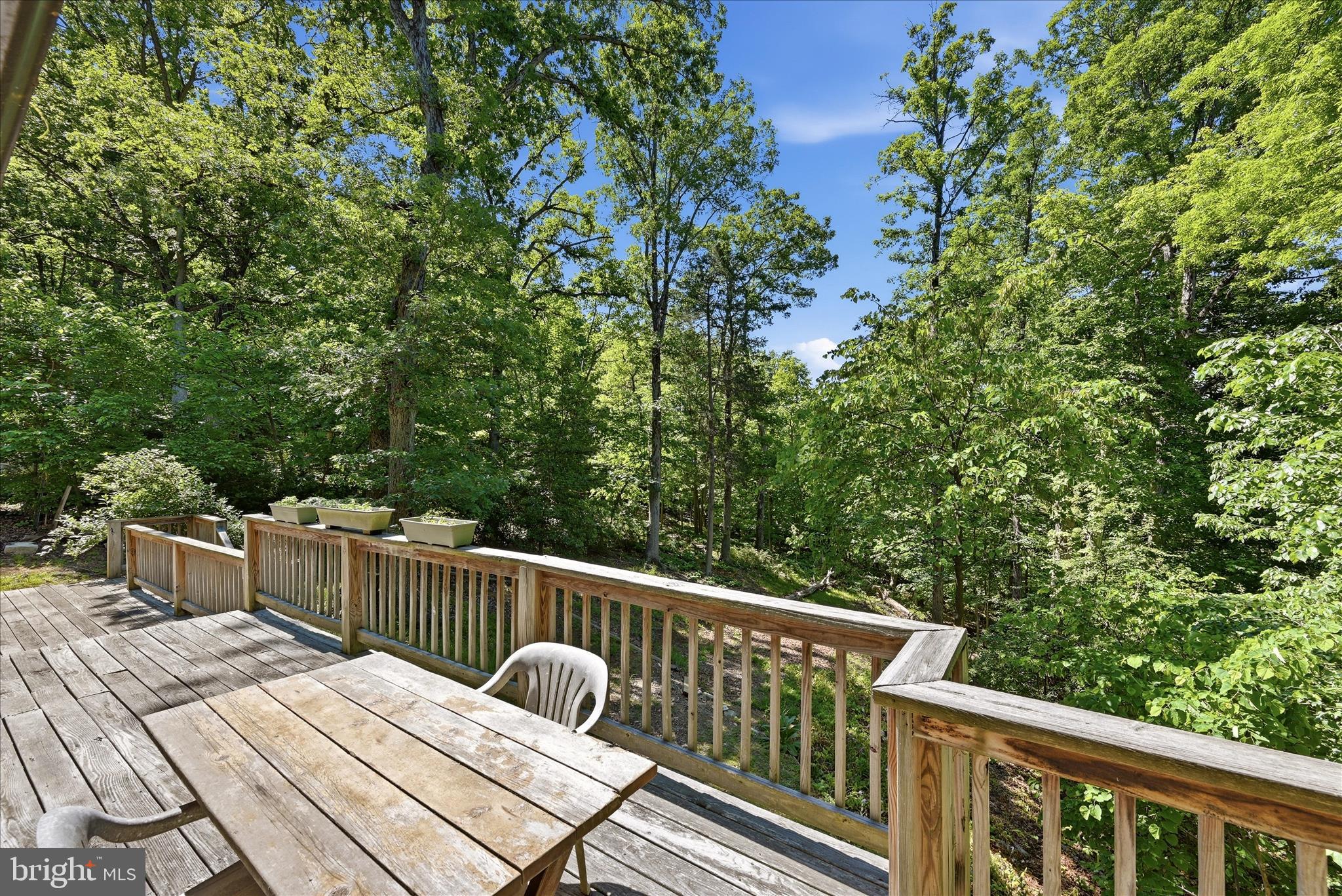 198 Spruce Road Front Royal, VA 22630 - Photo 47 of 59 Deck View