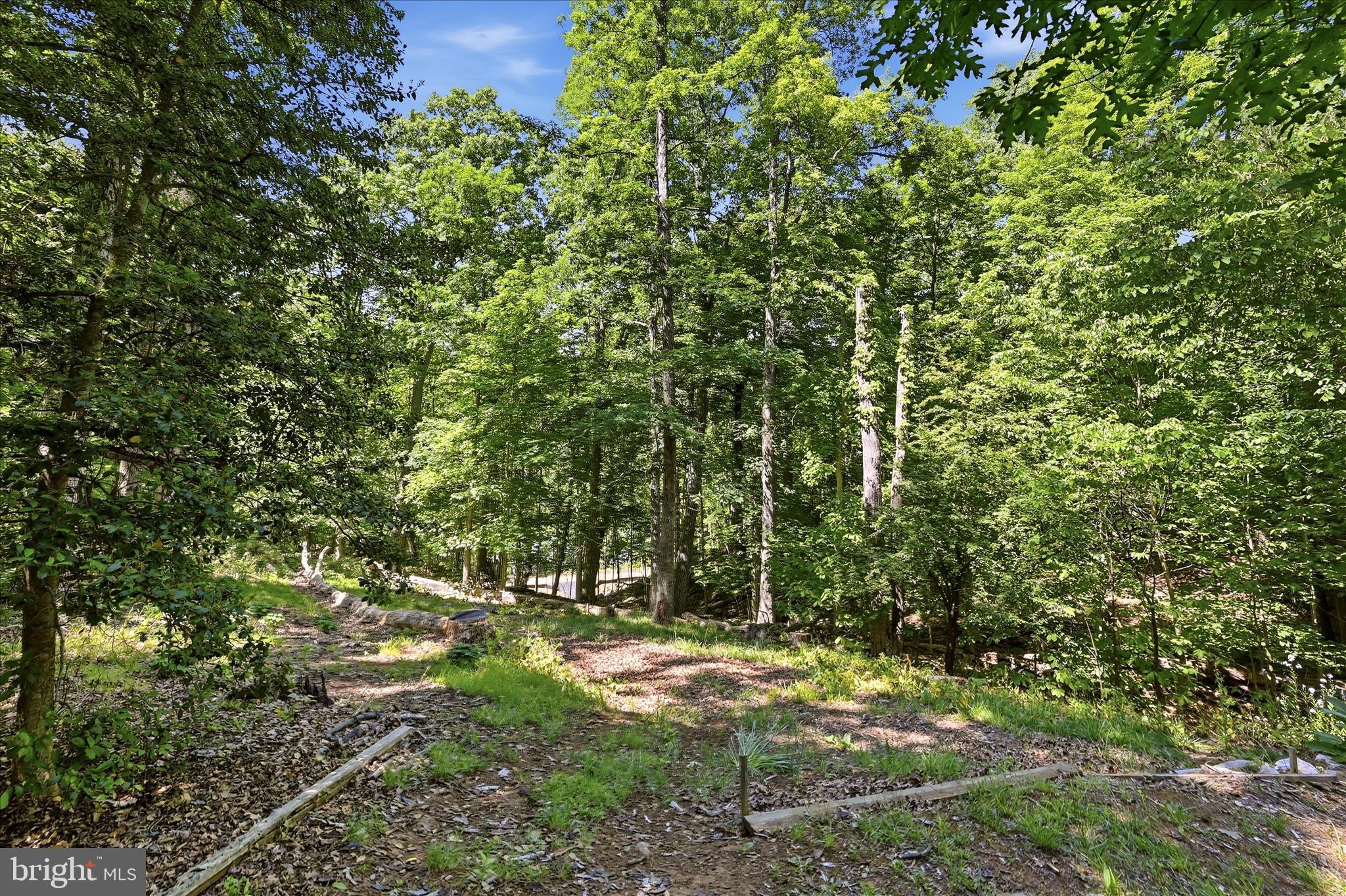 198 Spruce Road Front Royal, VA 22630 - Photo 50 of 59 a view of yard with green space
