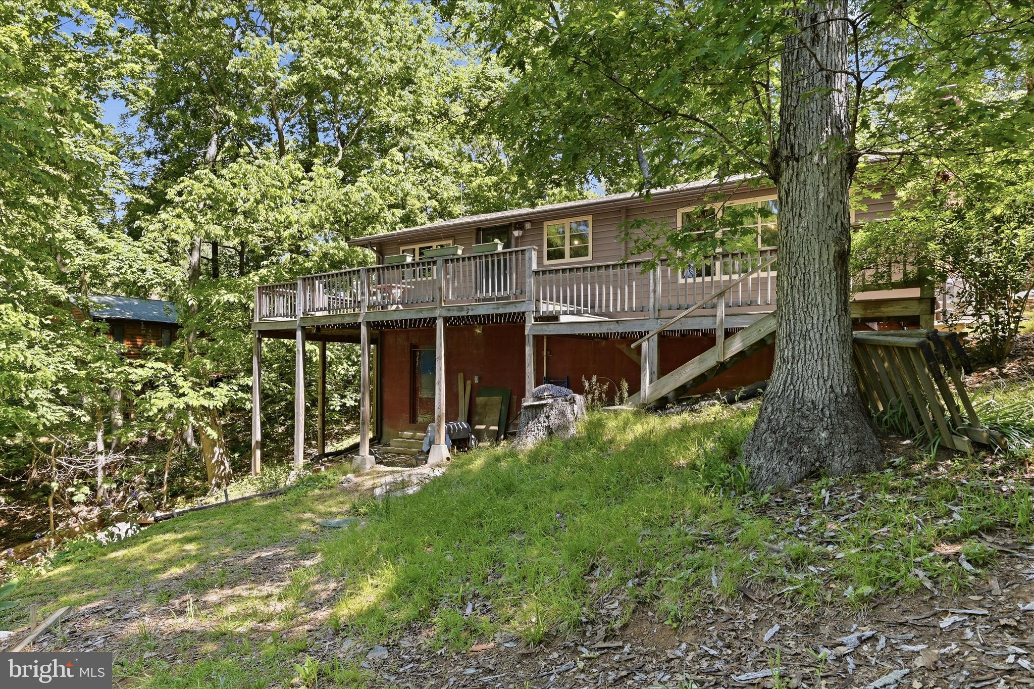 198 Spruce Road Front Royal, VA 22630 - Photo 54 of 59 a view of house with a big yard and large trees