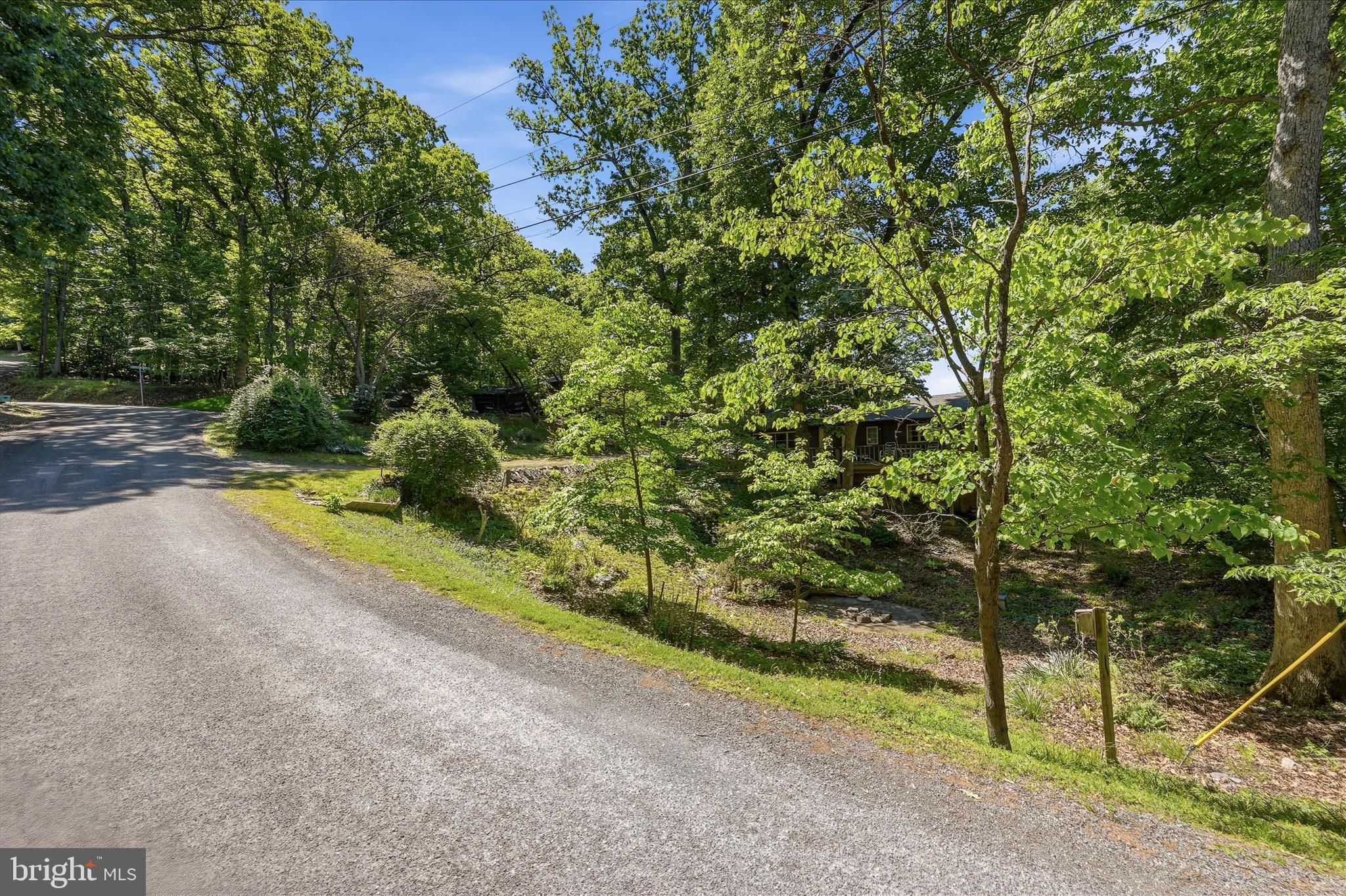198 Spruce Road Front Royal, VA 22630 - Photo 55 of 59 a view of a yard with potted plants and large trees