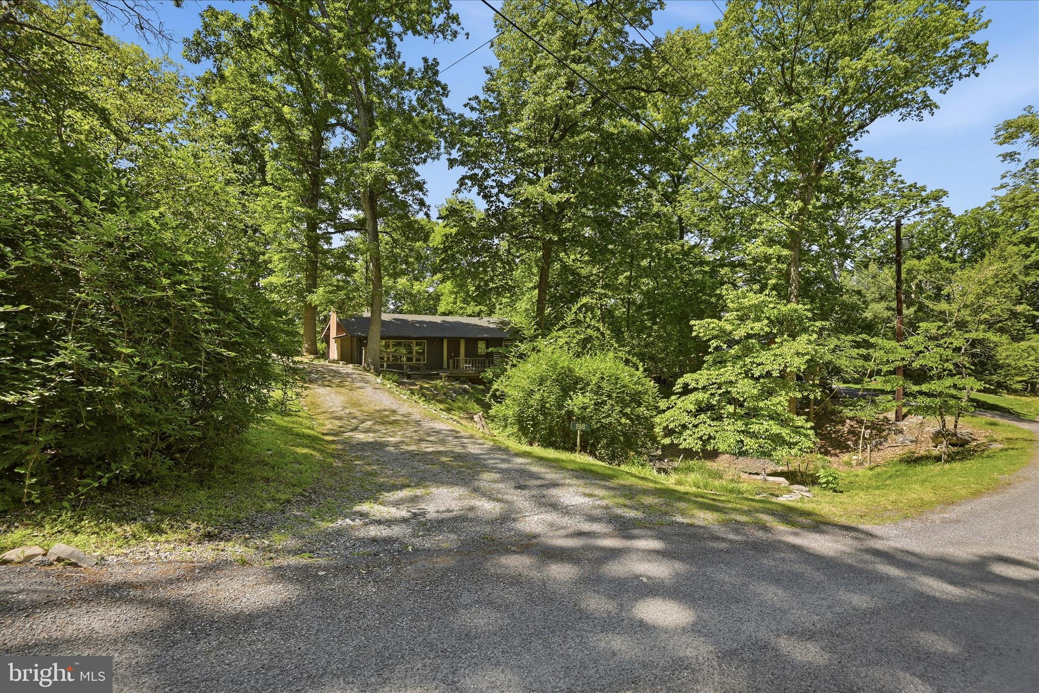 198 Spruce Road Front Royal, VA 22630 - Photo 56 of 59 a view of a yard with plants and trees