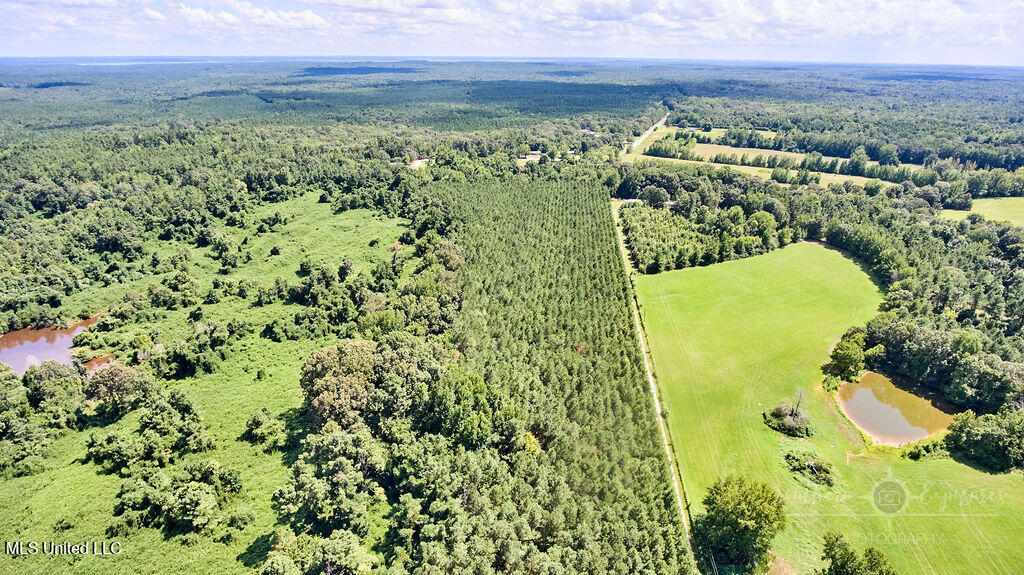 0 Graves Road Holly Springs, MS 38635 - Photo 2 of 6 FINAL-7