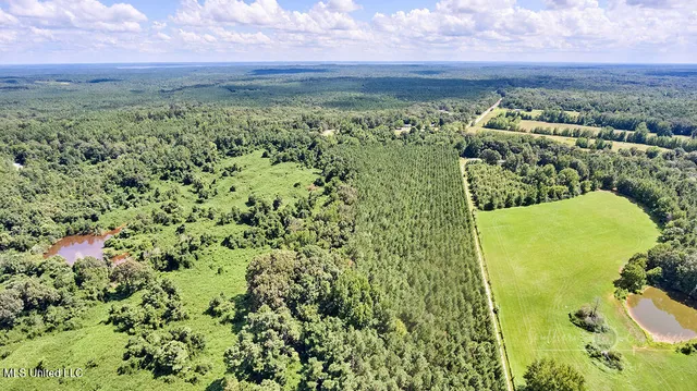 $89,900 | 0 Graves Road, Holly Springs, MS 38635