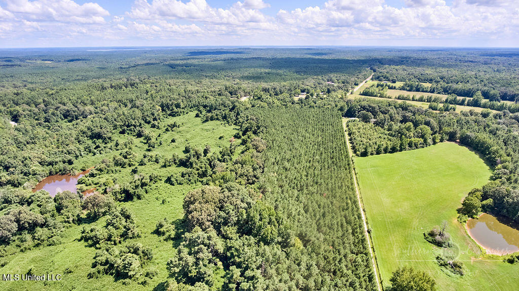 0 Graves Road Holly Springs, MS 38635 - Photo 3 of 6 FINAL-9