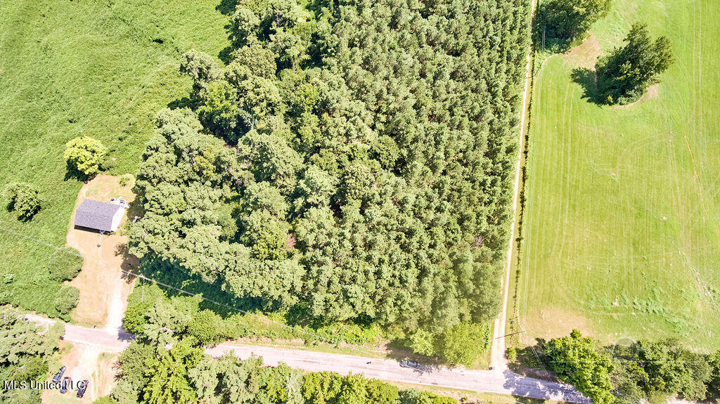 0 Graves Road Holly Springs, MS 38635 - Photo 4 of 6 FINAL-10