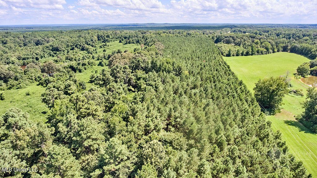 0 Graves Road Holly Springs, MS 38635 - Photo 5 of 6 FINAL-18