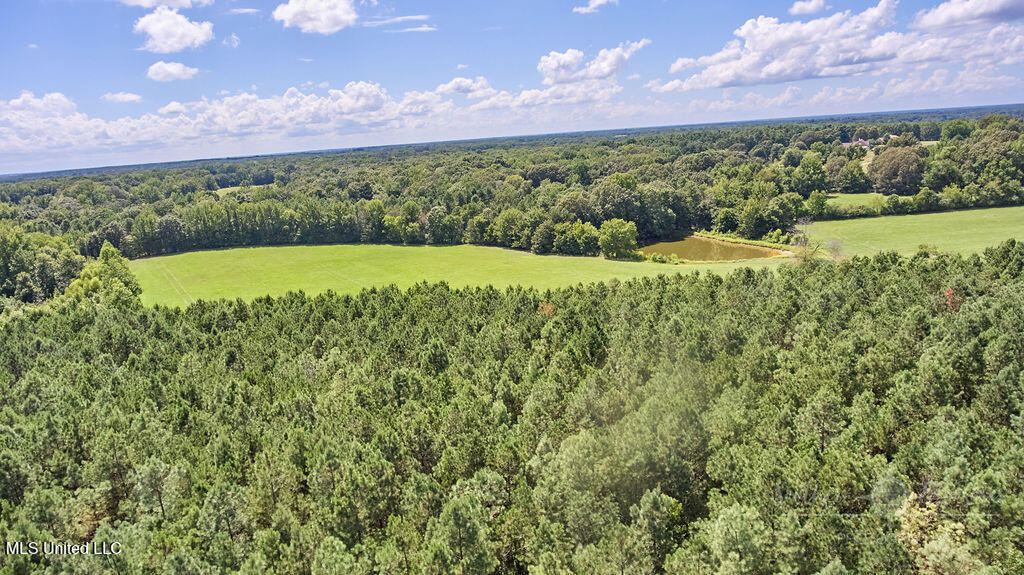 0 Graves Road Holly Springs, MS 38635 - Photo 6 of 6 FINAL-27