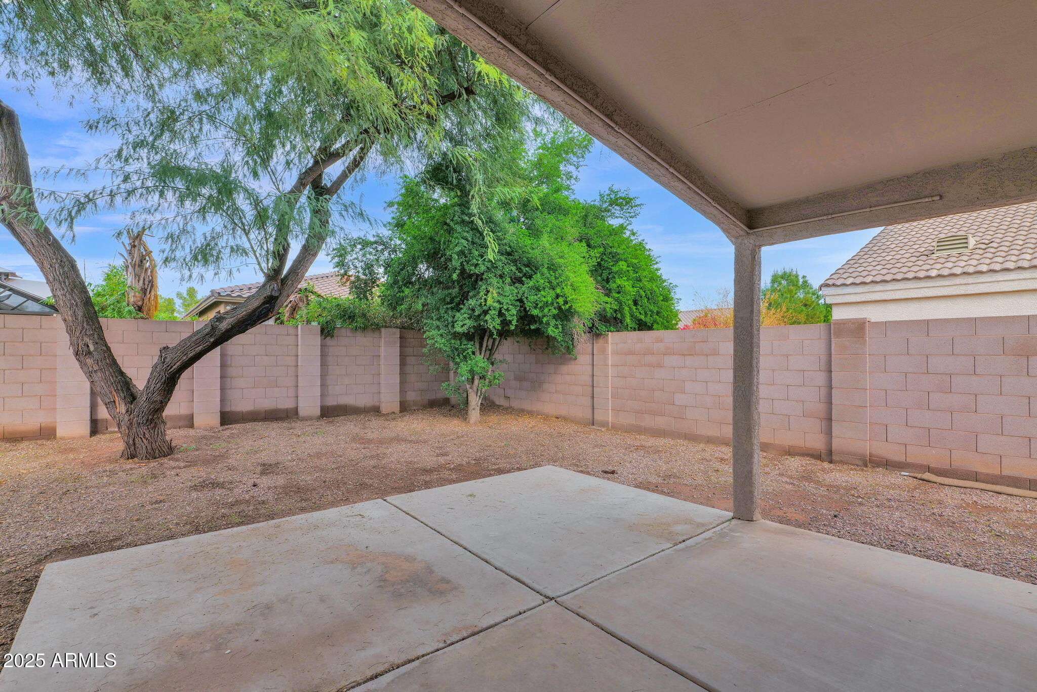 882 East Monterey Street Chandler, AZ 85225 - Photo 26 of 33 a view of backyard and tree