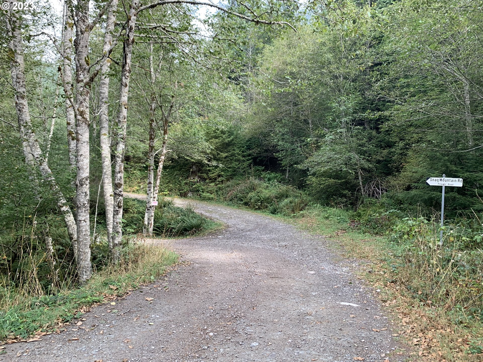 Snag Mountain Road, Unit 109 Yacolt, WA 98675 - Photo 2 of 9 a view of a forest with trees