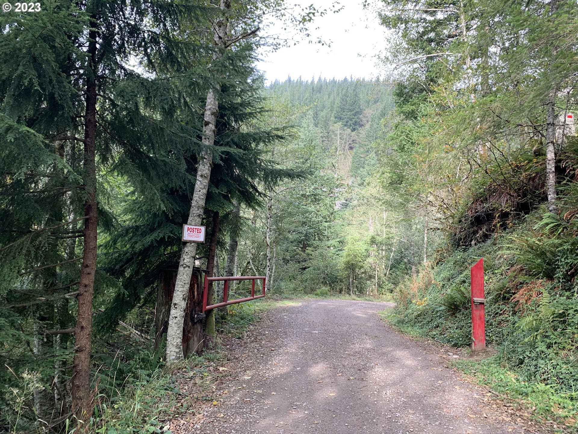 Snag Mountain Road, Unit 109 Yacolt, WA 98675 - Photo 3 of 9 a view of a forest with a tree