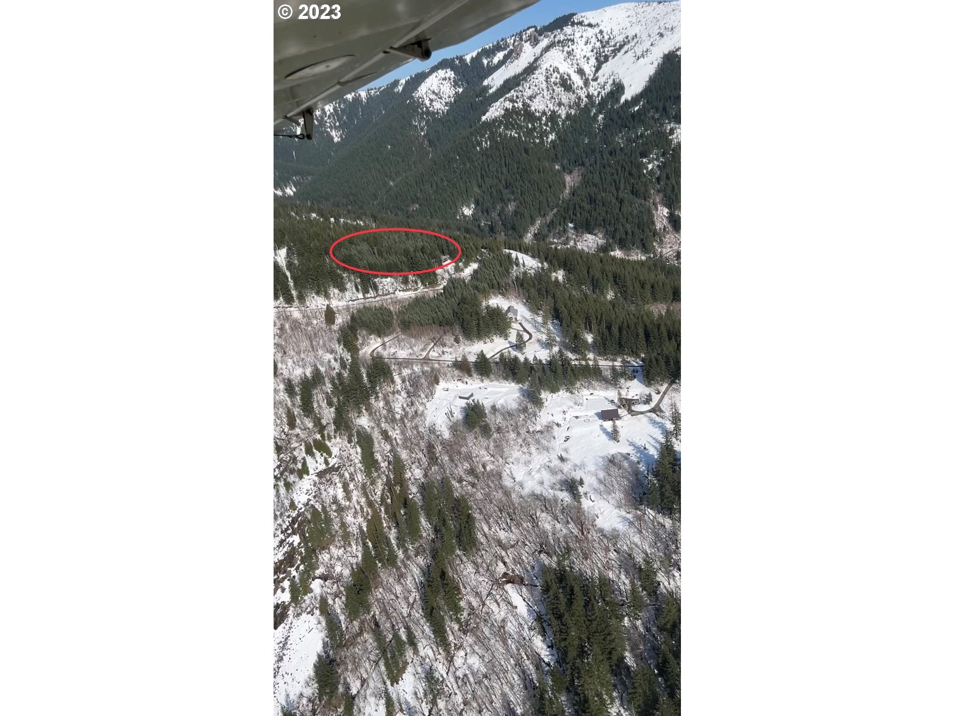 Snag Mountain Road, Unit 109 Yacolt, WA 98675 - Photo 4 of 9 a close up of a tree