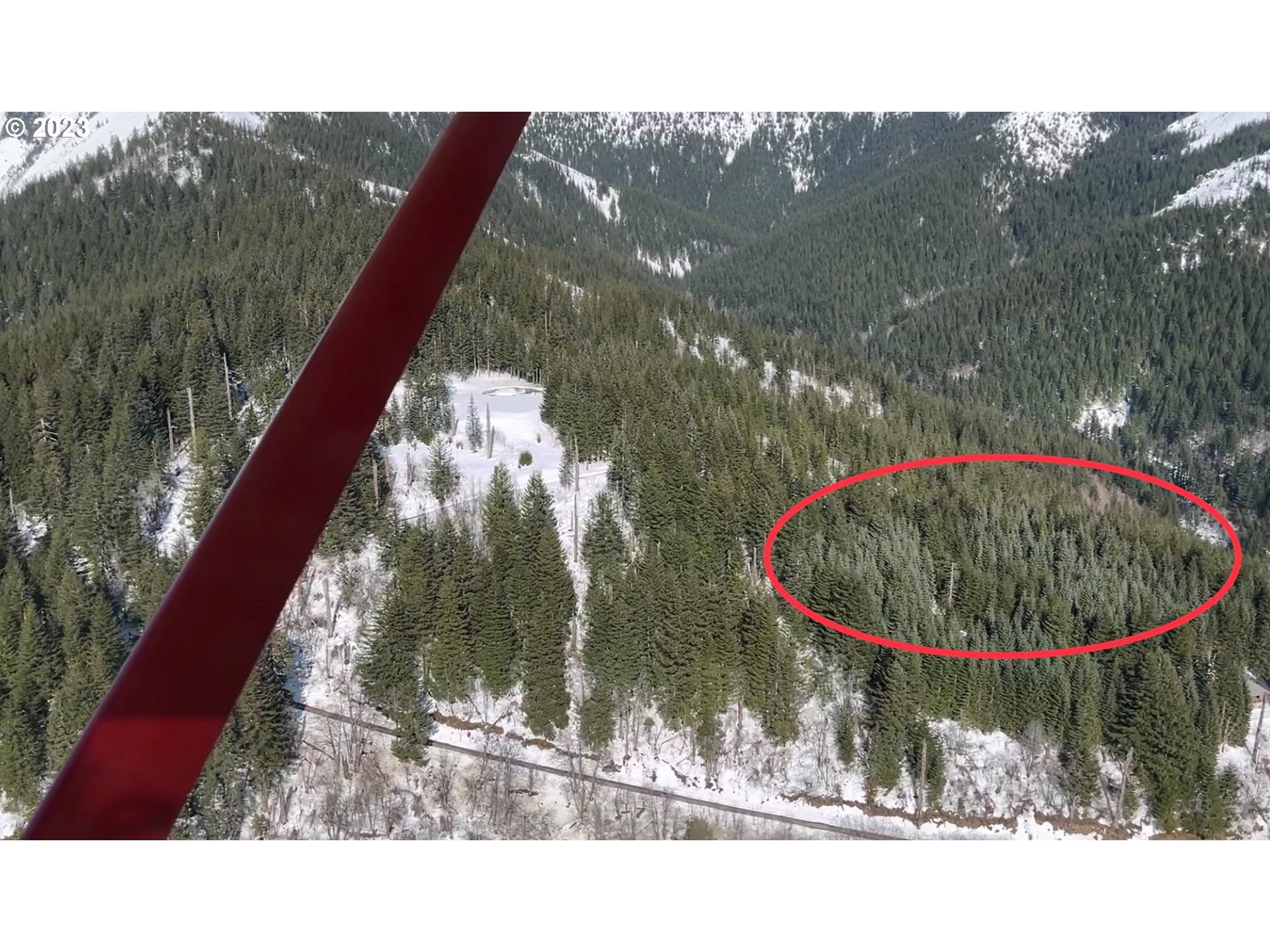 Snag Mountain Road, Unit 109 Yacolt, WA 98675 - Photo 5 of 9