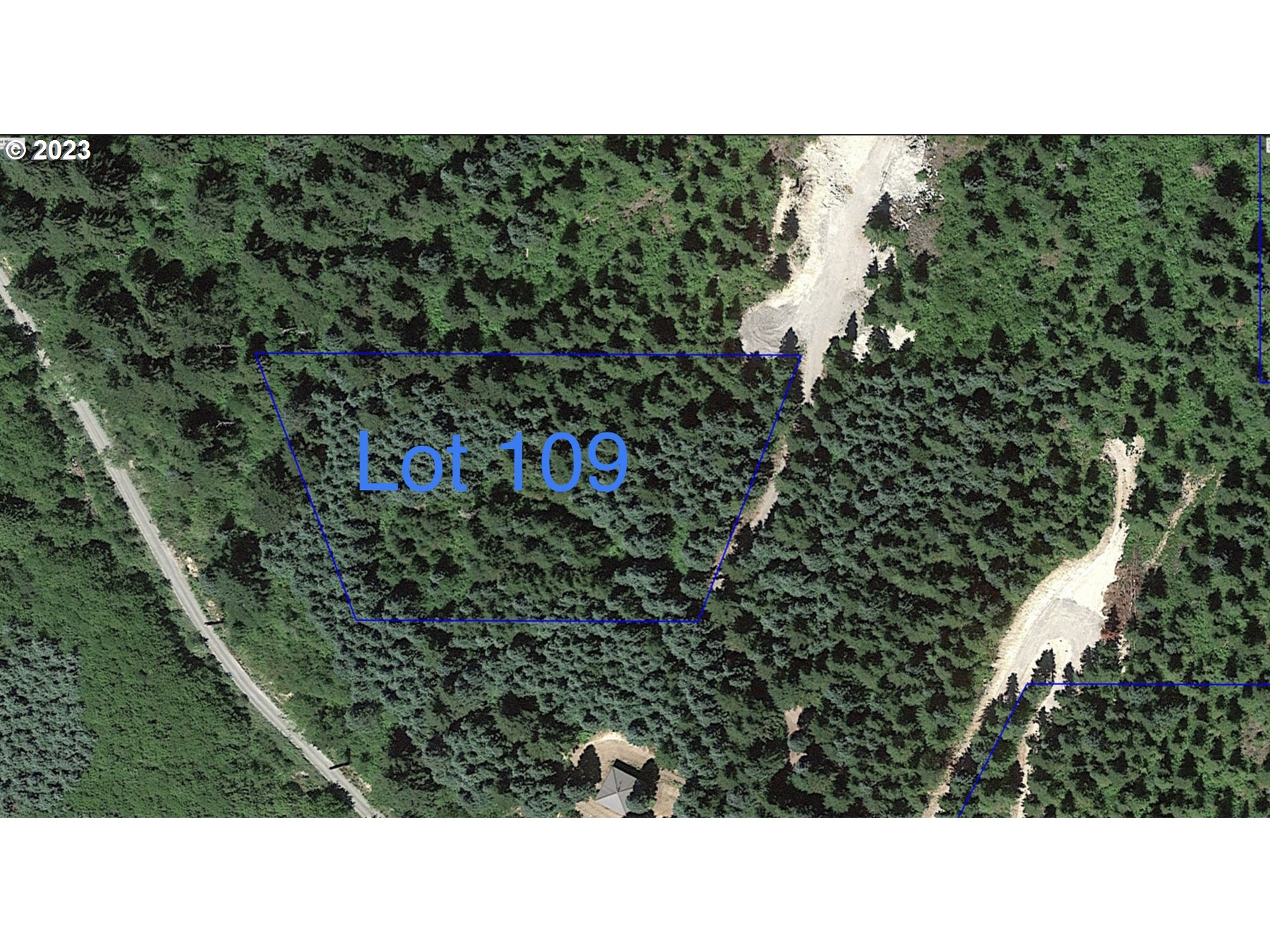 Snag Mountain Road, Unit 109 Yacolt, WA 98675 - Photo 8 of 9 a black and white photo of a forest