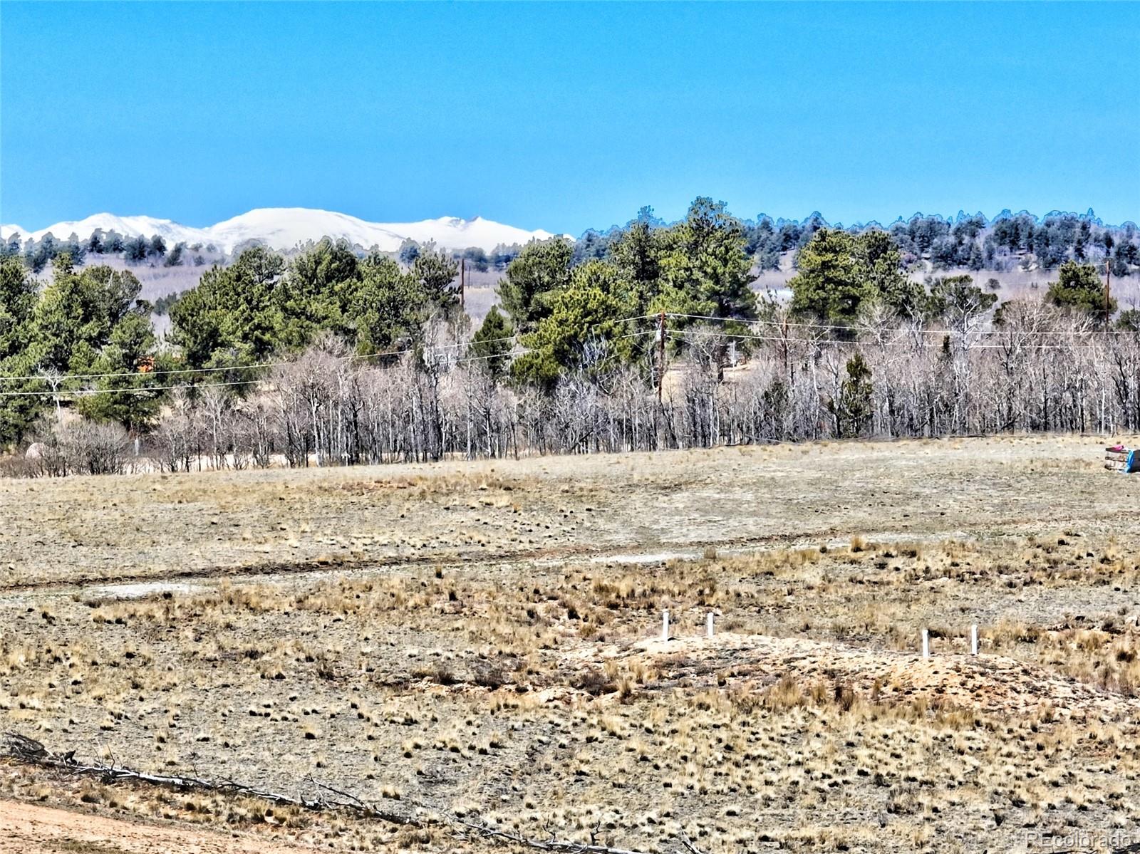 64 Colt Lane Como, CO 80432 - Photo 4 of 12