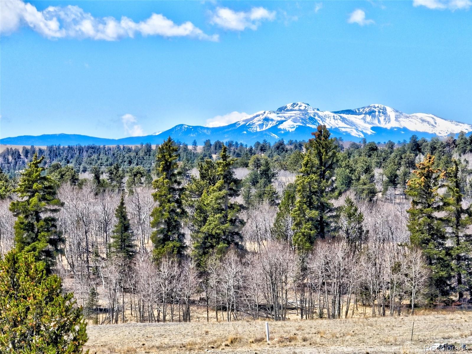 64 Colt Lane Como, CO 80432 - Photo 6 of 12