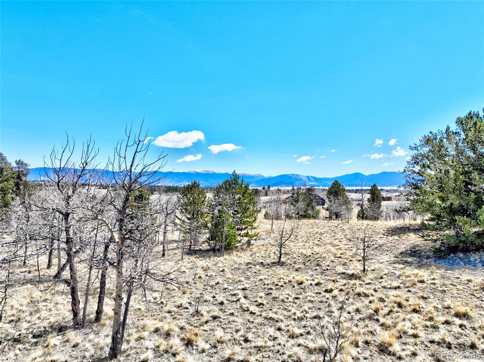 64 Colt Lane Como, CO 80432 - Photo 8 of 12