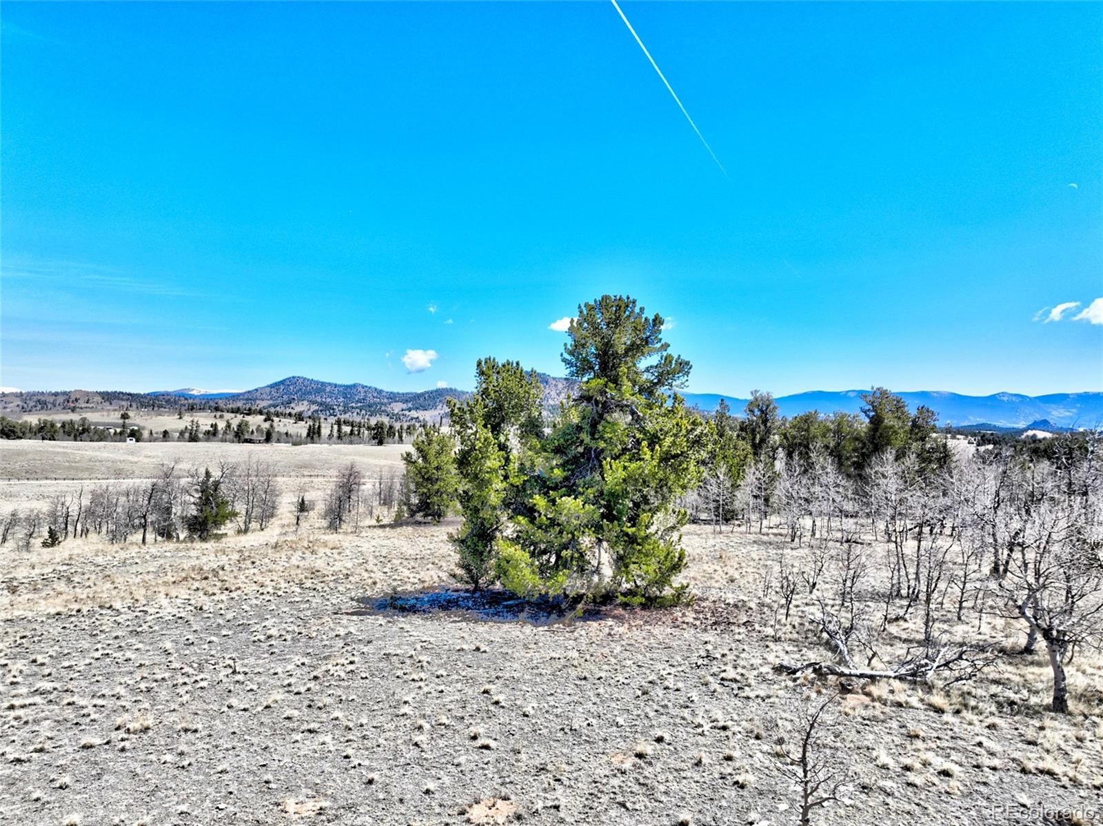 64 Colt Lane Como, CO 80432 - Photo 9 of 12