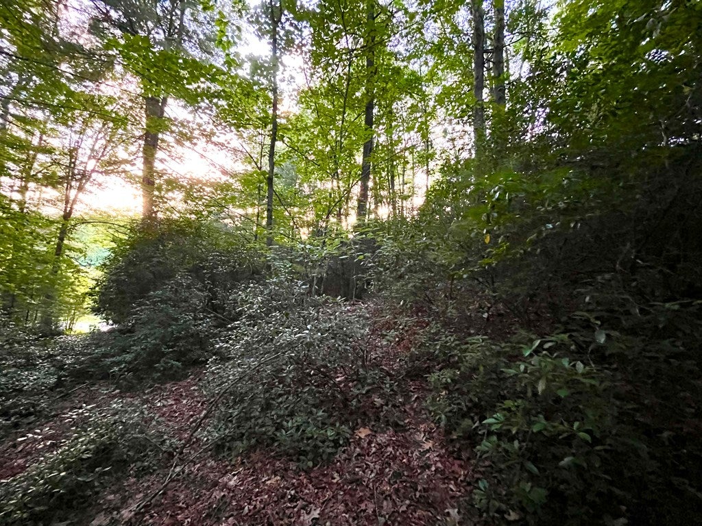 0 Old Ferry Road, Unit 76A1B Galax, VA 24333 - Photo 20 of 23 Gallery Image 20