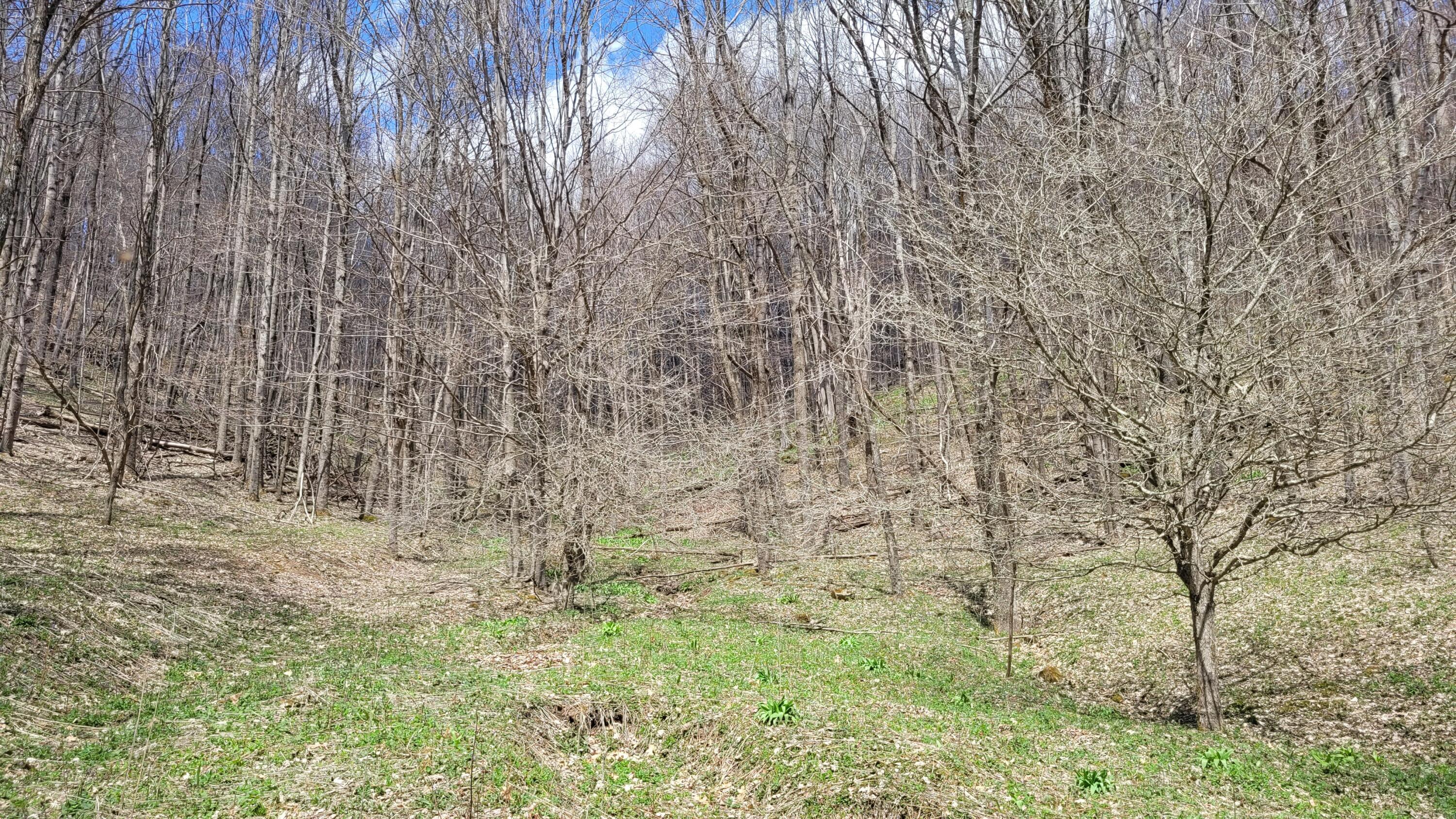 Dry Branch Road Valley Head, WV 26294 - Photo 20 of 24 Gallery Image 20