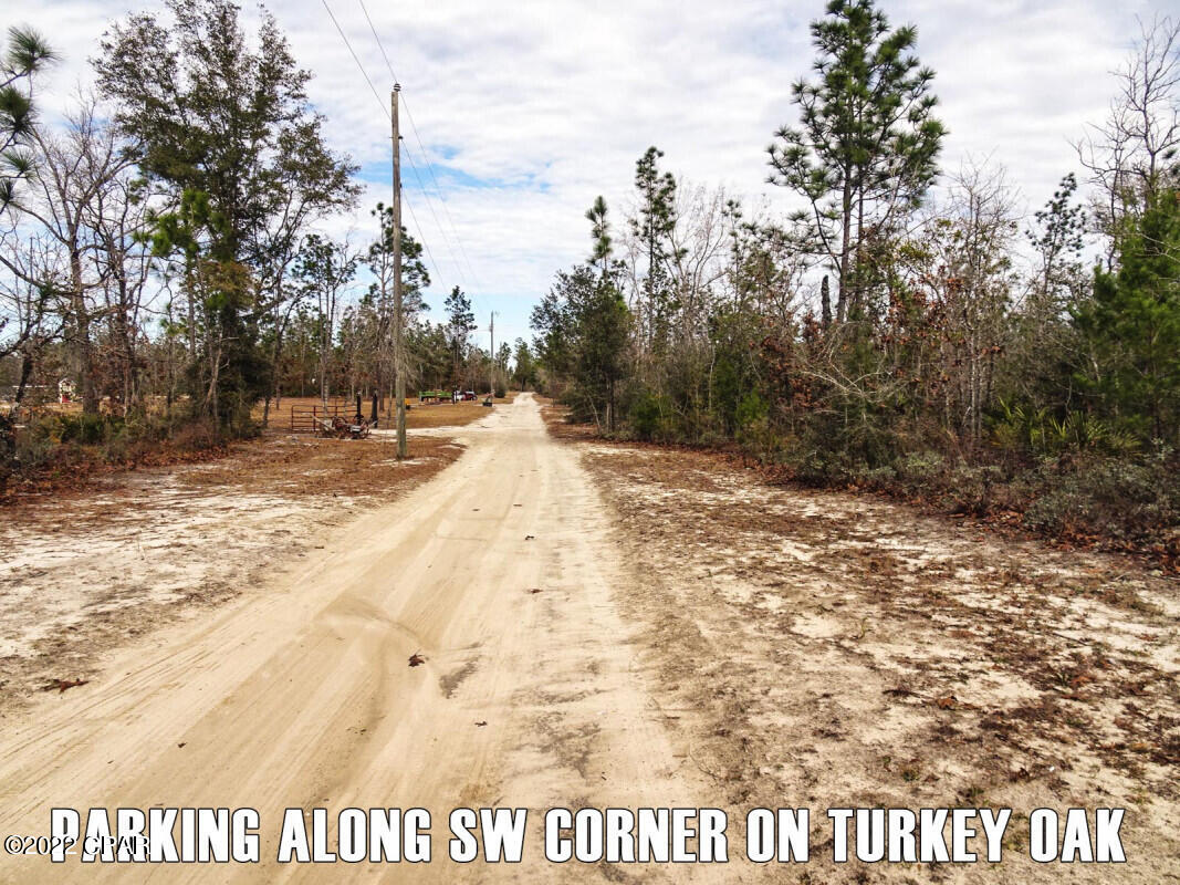 0 Turkey Oak Road Fountain, FL 32438 - Photo 4 of 9 Gallery Image 4