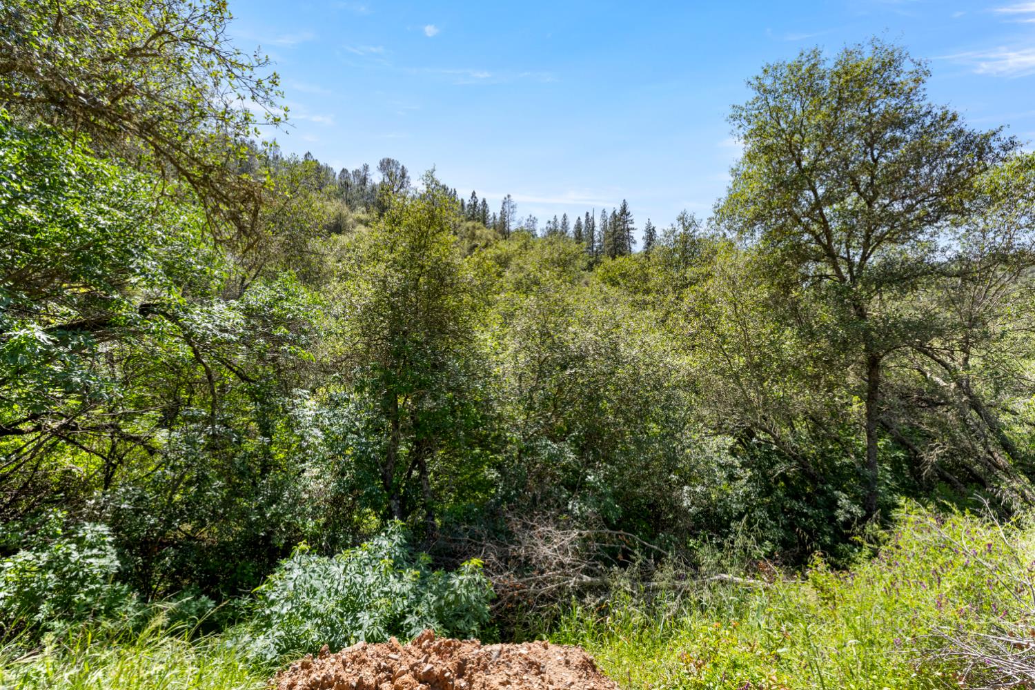 10 Secluded Way El Dorado, CA 95623 - Photo 13 of 30
