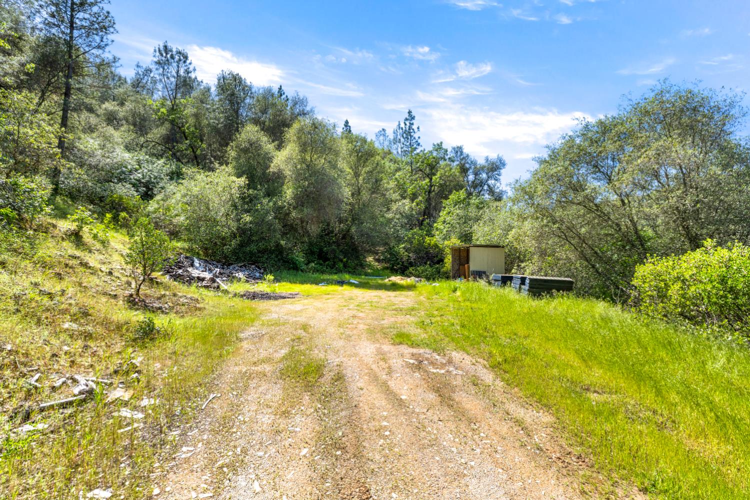 10 Secluded Way El Dorado, CA 95623 - Photo 2 of 30