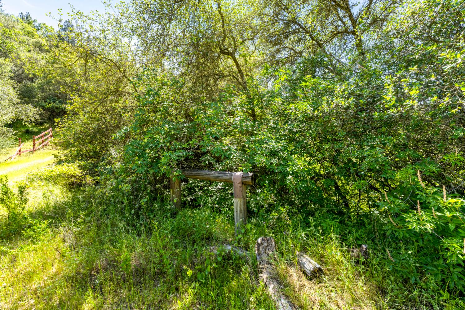 10 Secluded Way El Dorado, CA 95623 - Photo 6 of 30