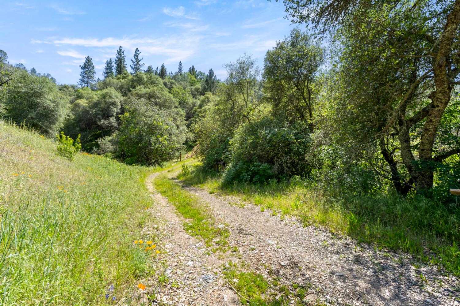 10 Secluded Way El Dorado, CA 95623 - Photo 9 of 30