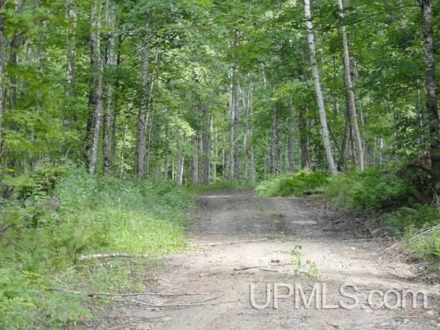 Tbd Norway Lake Road Sidnaw, MI 49961 - Photo 11 of 17