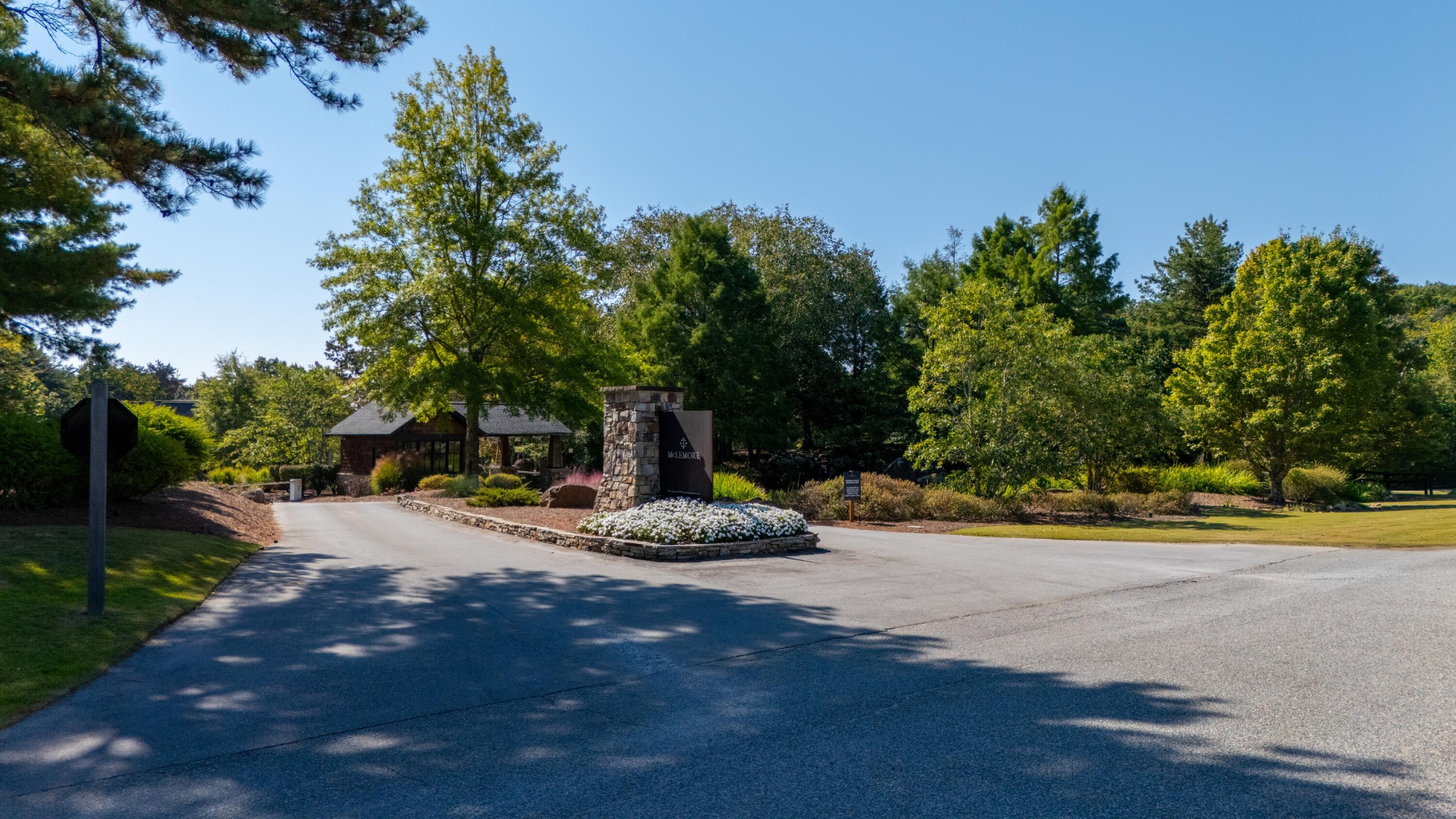 a view of a roadside with trees