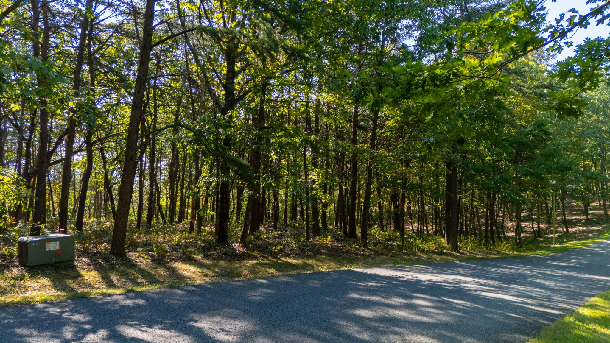0 Rushing Water Trail Rising Fawn, GA 30738 - Photo 7 of 25 a view of a backyard with large trees