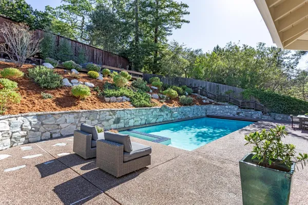 a view of a garden with plants