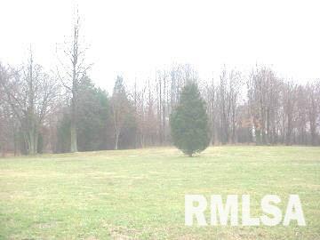 11245 East Bishop Road Mount Vernon, IL 62864 - Photo 3 of 3