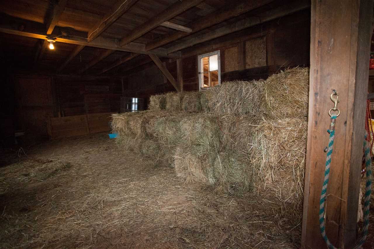 8325 South Gale Road Morrice, MI 48857 - Photo 54 of 58 Hay storage