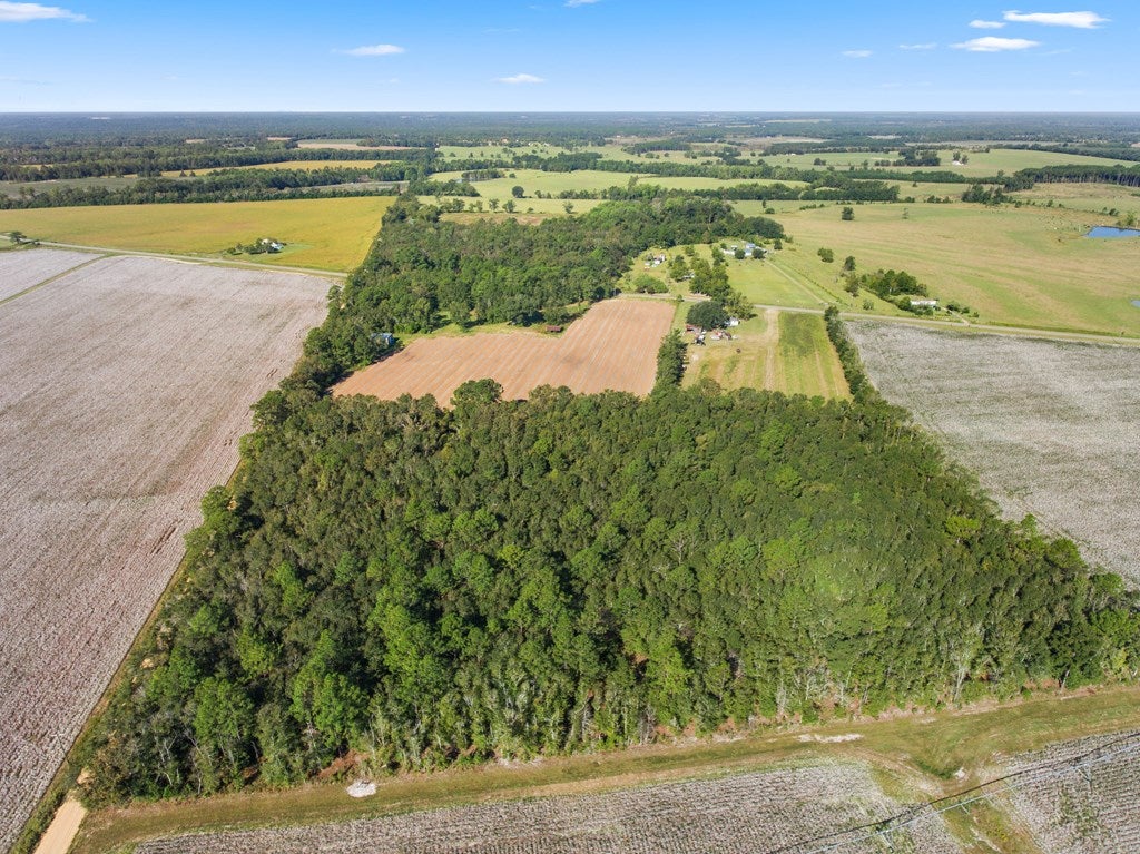 0 Rolling Hills Road Morven, GA 31638 - Photo 4 of 22 Gallery Image 4