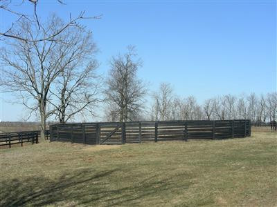 1384 Jackstown Road Paris, KY 40361 - Photo 8 of 15 Round pen.