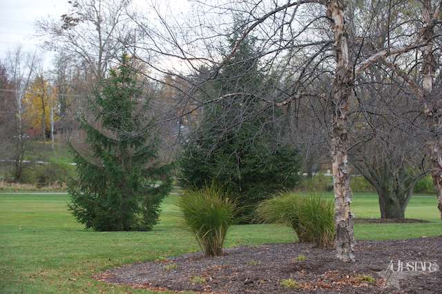 11207 Chestnut Ridge Court Fort Wayne, IN 46814 - Photo 11 of 28