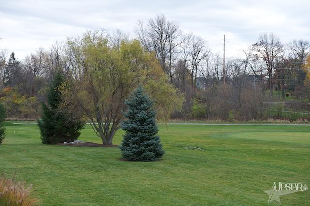 11207 Chestnut Ridge Court Fort Wayne, IN 46814 - Photo 17 of 28