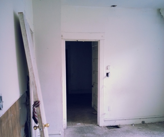 548 North Troy Street Chicago, IL 60612 - Photo 4 of 18