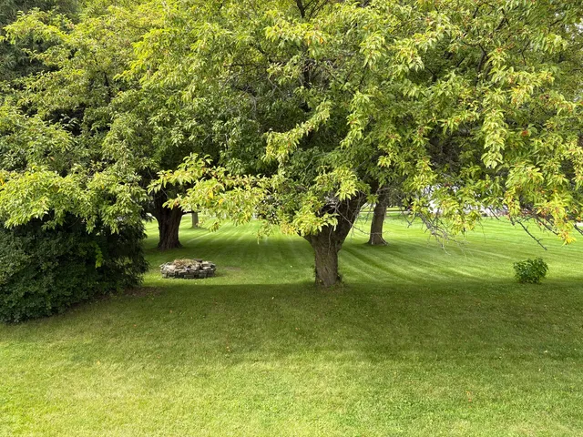 a view of yard with green space and trees in the background