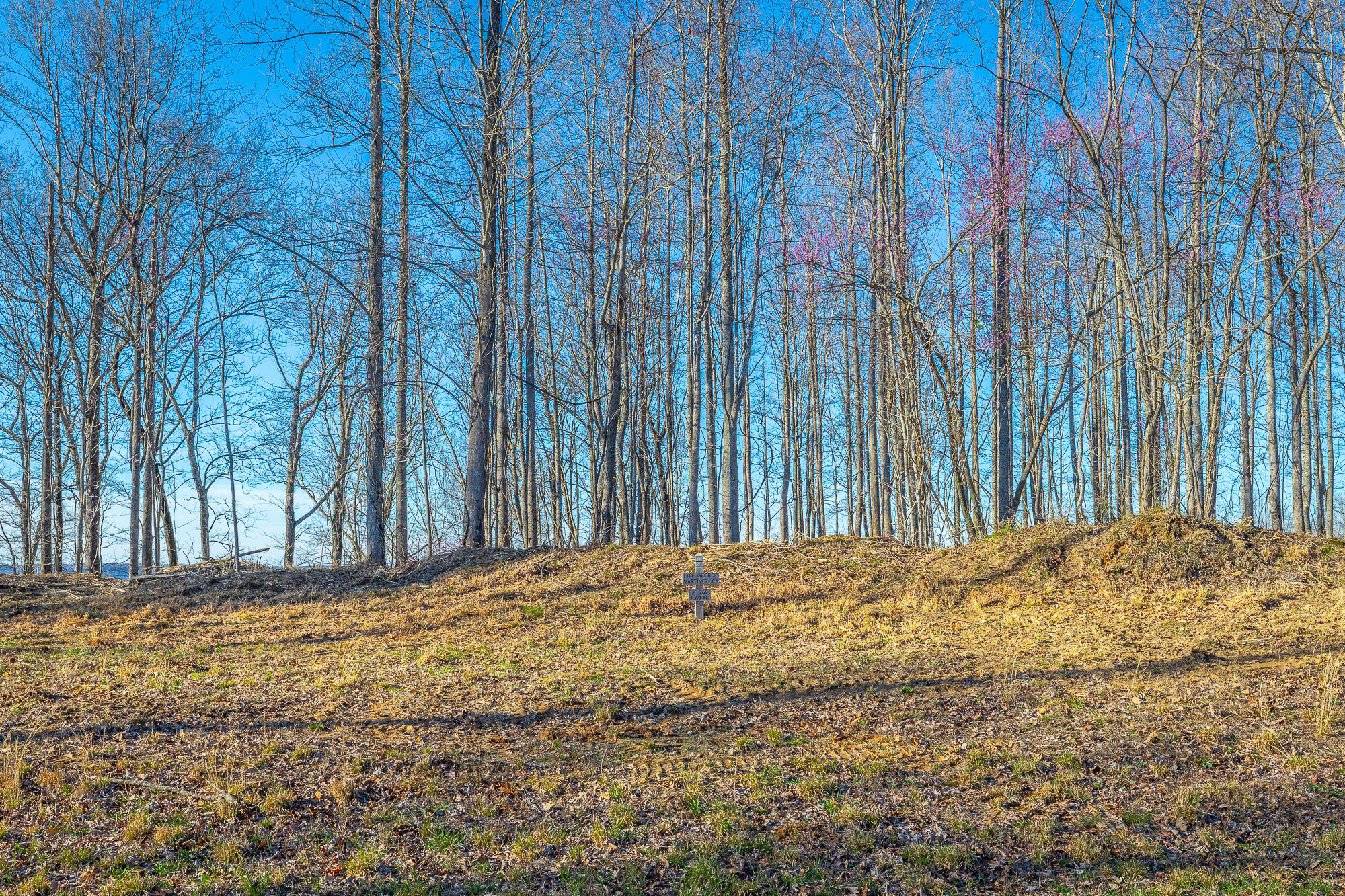 0 Cherokee Path, Unit JF269 Jasper, TN 37347 - Photo 20 of 94 0 Cherokee Path - JF269 HD-17