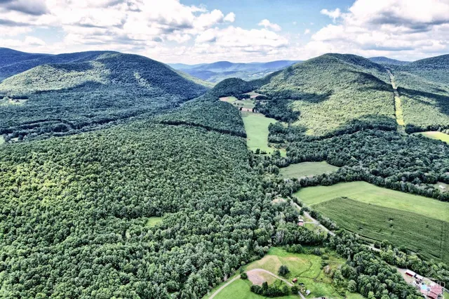 a kitchen area with stainless steel appliances wooden floor and chandelier
