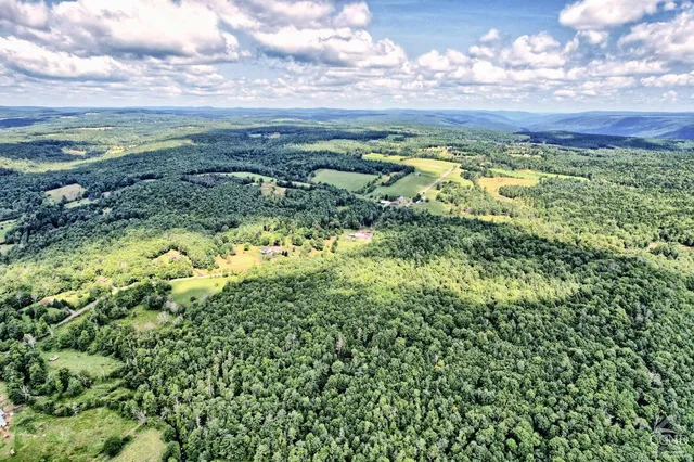 a view of a studio with lots of furniture and a wooden floor