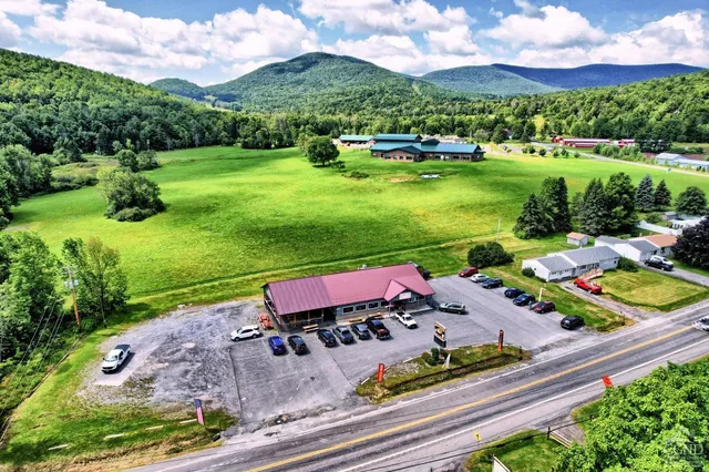 an aerial view of a house with garden