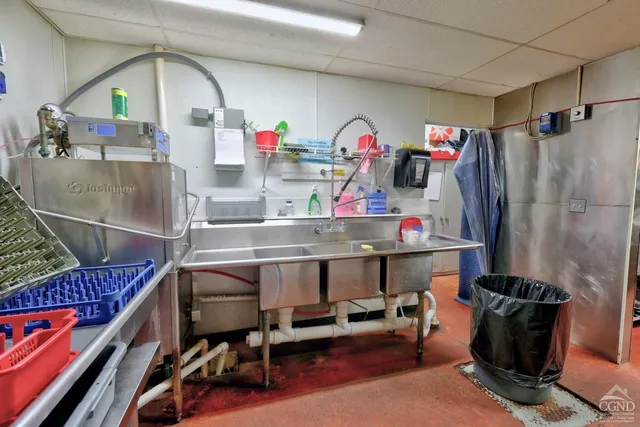 a view of a dry yard with large trees