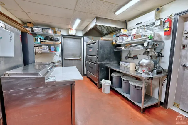 a view of a house with a big yard and a large tree